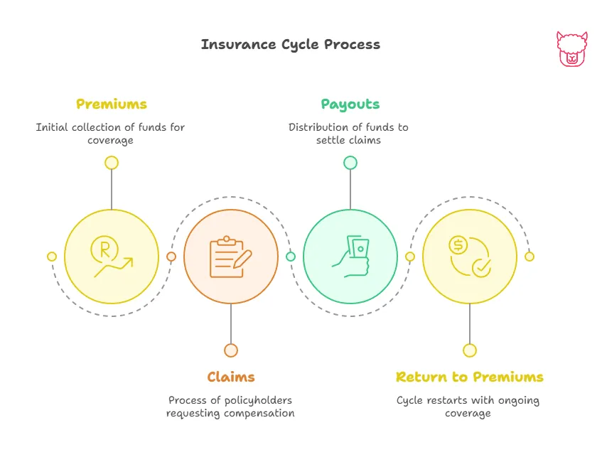 Insurance Cycle Process A diagram displaying How Insurance Works: Premiums, Claims, Payouts, Return to Premiums